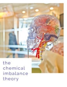 The Chemical Imbalance Theory The Chemical Imbalance Theory