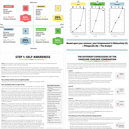 DISC Assessment Report